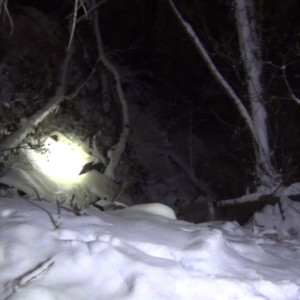 Жителя Владимира будут судить за жестокое убийство супруги табуреткой