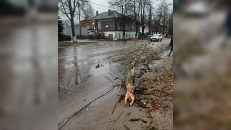 Жители Коврова остались без интернета