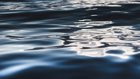 Стала известна личность погибшей в Красносельском пруду во Владимире