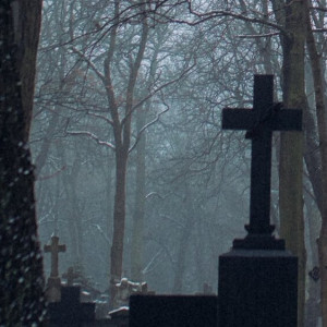 Жители владимирского поселка отстояли право жить без могил под окнами