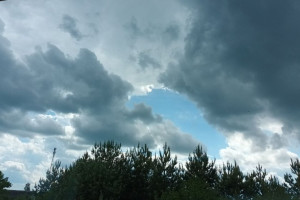 Прогноз погоды во Владимире и области на 15 июня