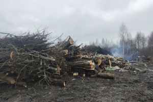 В Гусь-Хрустальном нашли две незаконные свалки