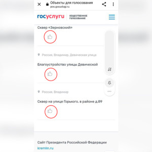 Из голосования за благоустройство Владимира исчезли цифры