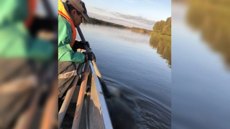 Во Владимирской области из Клязьмы достали тело утонувшего мужчины