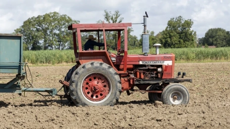 На ферме во Владимирской области работали нелегальные мигранты