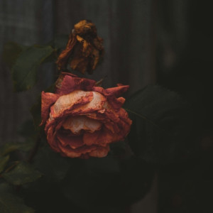 Пропавшего в апреле 40-летнего жителя Суздаля нашли мертвым