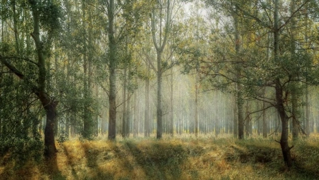 В соседнем с Владимирской областью регионе 16-летнего подростка нашли живым