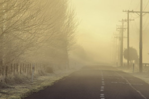 Во Владимирской области спрогнозировали густой туман 21-22 ноября