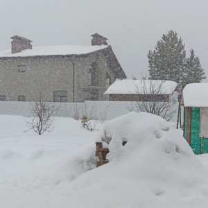 Метель накрыла Владимирскую область