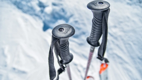 Во Владимирской области женщину осудили за избиение полицейских лыжной палкой