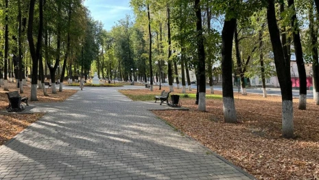 Во Владимире назвали главные проблемы города за вторую половину сентября-2024