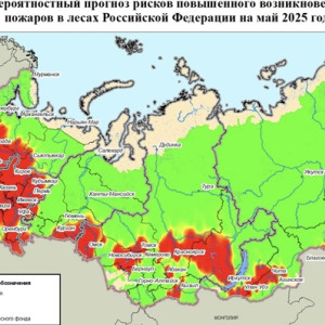В мае во Владимирской области спрогнозировали высокую пожарную опасность