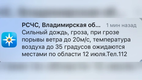 МЧС предупредило владимирцев о грозе и ветре при 35-градусной жаре