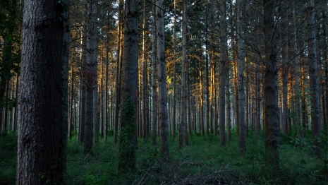 Пропавшего во Владимире мужчину с гитарой нашли живым