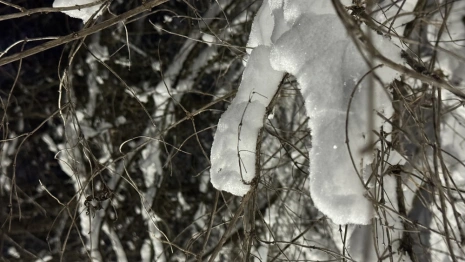 Прогноз погоды на 23.02.2025 во Владимире и области