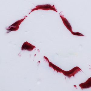 Узбека осудили за убийство жительницы Петушков в новогоднюю ночь