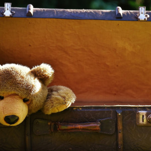 В Александровском районе многодетная семья приютила сбежавших от обстрелов белгородцев