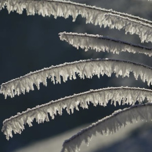 Прогноз погоды во Владимирской области на 29 декабря