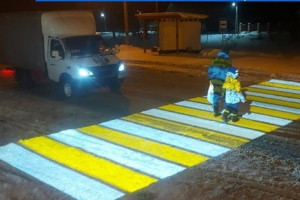В четырех районах Владимирской области появились проекционные зебры