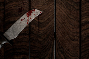 Жителя Карачаево-Черкессии арестовали за убийство 20-летней давности в Гусь-Хрустальном