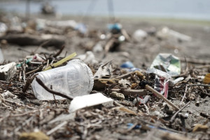 Владимирская область попросит помощи у Москвы в вывозе мусора