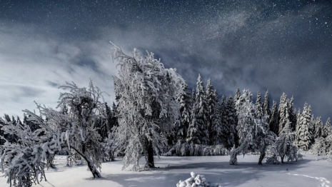 Лютый мороз до -31 ожидается ночью 26 января