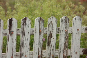 Житель Владимирской области вырастил в деревне 5 кг конопли 