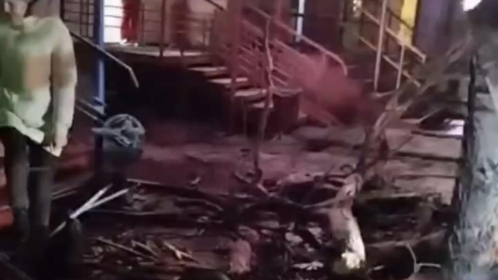 Падение дерева на прохожих в Гусь-Хрустальном привело к уголовному делу