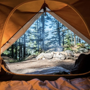 Во Владимирской области лагерь «Авангард» уличили в нарушениях трудового кодекса