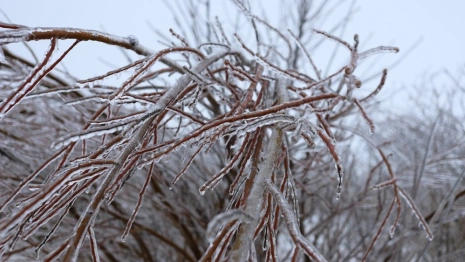 Владимирский губернатор прокомментировал массовые отключения света из-за ледяного дождя