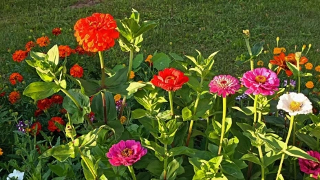 Во Владимирской области ожидают солнечный день
