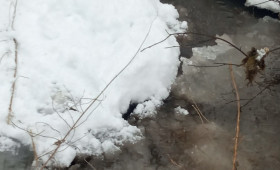 Прогноз погоды во Владимирской области на 3 марта 2026 года