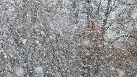 Во Владимирской области из-за шквалистого ветра энергетики отработали в экстренном режиме