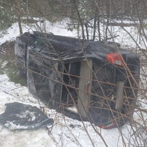 На трассе под Меленками перевернулась иномарка