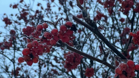 Прогноз погоды во Владимирской области на 26 декабря 2025 года