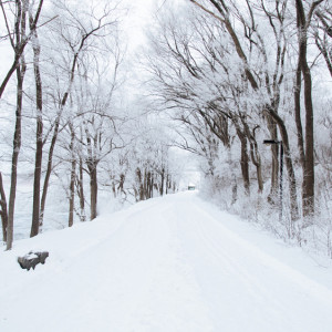 Прогноз погоды во Владимирской области на 17 января