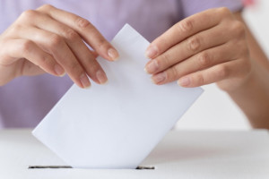 Во Владимирской области полностью отменили прямые выборы мэров