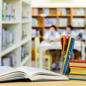 В владимирской школе ввели вторую смену