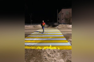 В райцентре Владимирской области появилась первая проекционная зебра