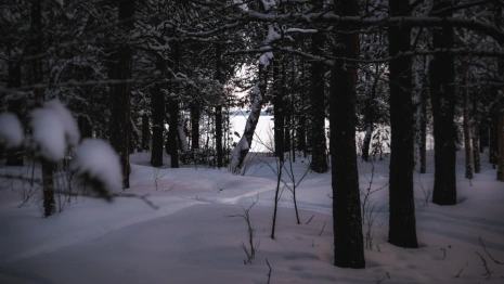 Пропавшего во Владимирской области 28-летнего мужчину в серой шапке нашли мертвым
