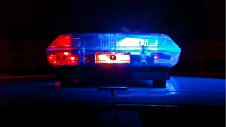 Во Владимире установили личность убитого у красносельских бань мужчины