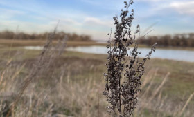 Прогноз погоды во Владимирской области на 25 марта 2026 года