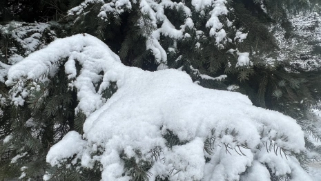 Прогноз погоды во Владимирской области на 19 февраля 2025 года