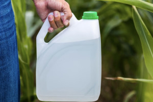 Во Владимире мужчина едва не выпил украденный у соседки по даче с спирт с пестицидами