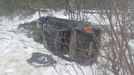 На трассе под Меленками перевернулась иномарка