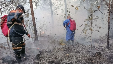 Причиной запаха гари во Владимире стало возгорание торфяников