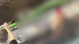 Появилось видео с места падения 19-летней девушки с 8-го этажа во Владимире