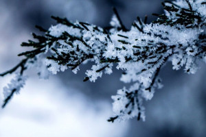 Прогноз погоды во Владимире и области на 17 февраля