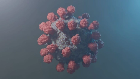 Коронавирус во Владимирской области: 20 апреля