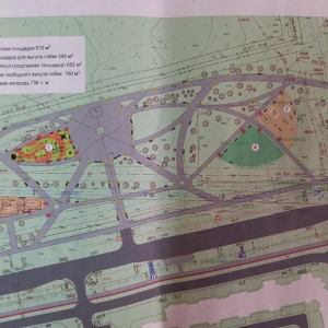 Во Владимире построят еще одну площадку для выгула собак